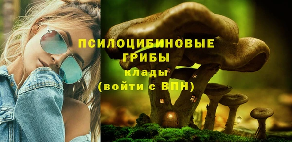 a pvp Пересвет