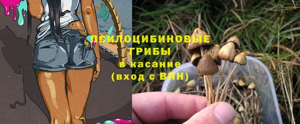 a pvp Пересвет