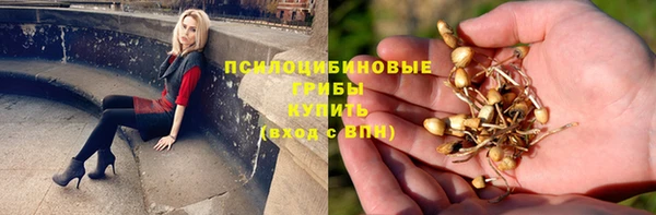 амфетамин Бикин