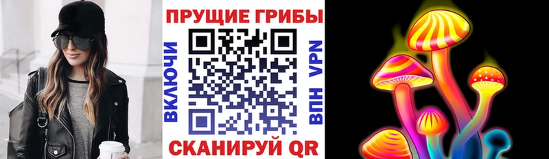 Галлюциногенные грибы прущие грибы  Горячеводский 